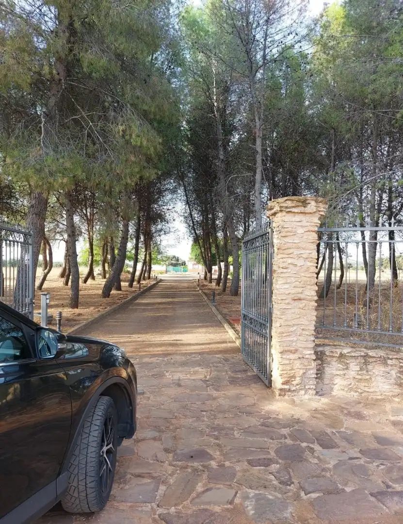 Country homes for rent in Argamasilla de Calatrava, Ciudad Real