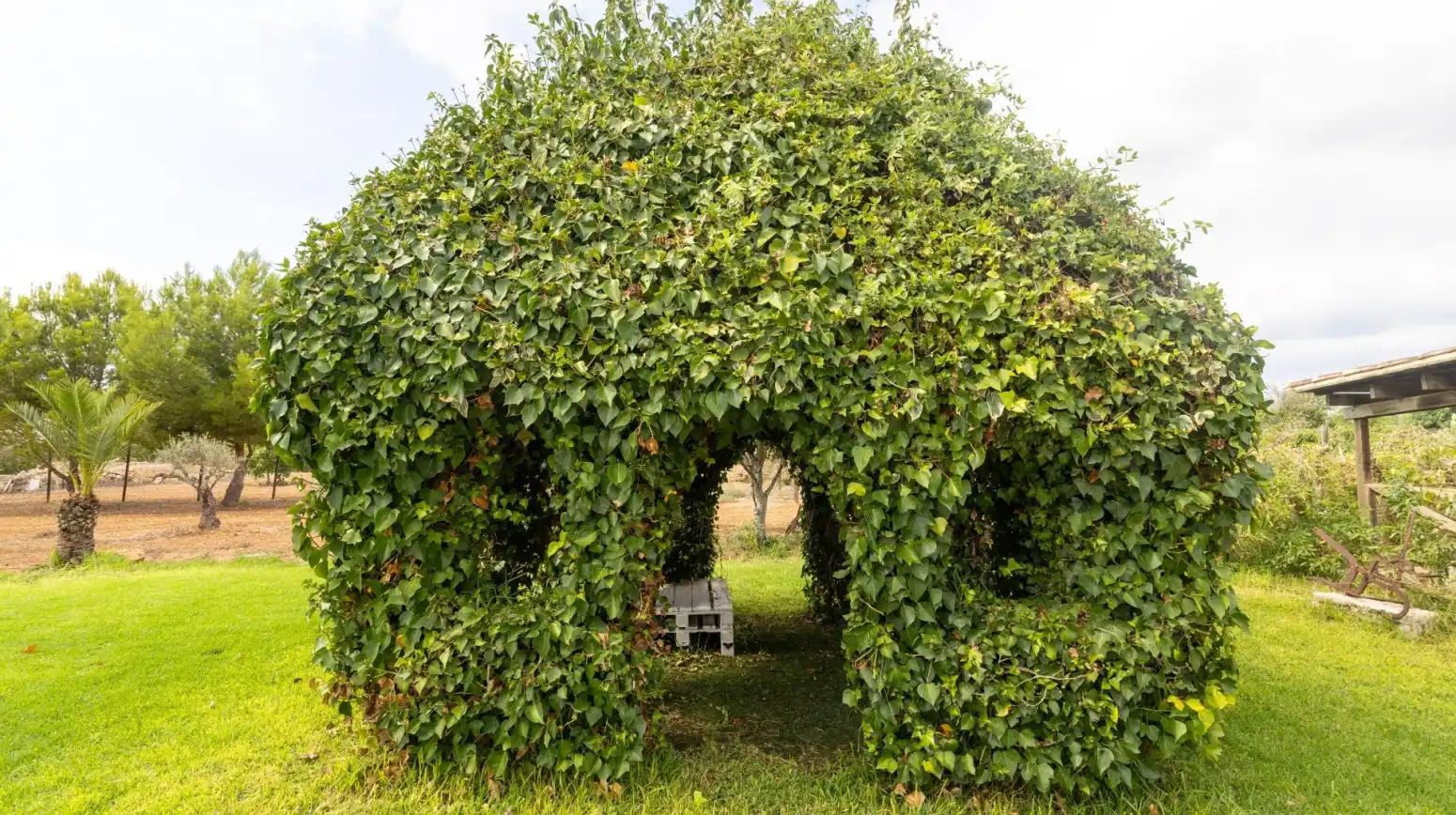 Jardí de Casa o xalet en venda en Llucmajor amb Aire condicionat, Calefacció i Terrassa