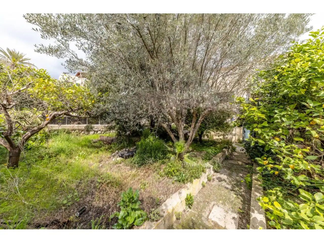 Maison à vendre à Selva, imagen 39