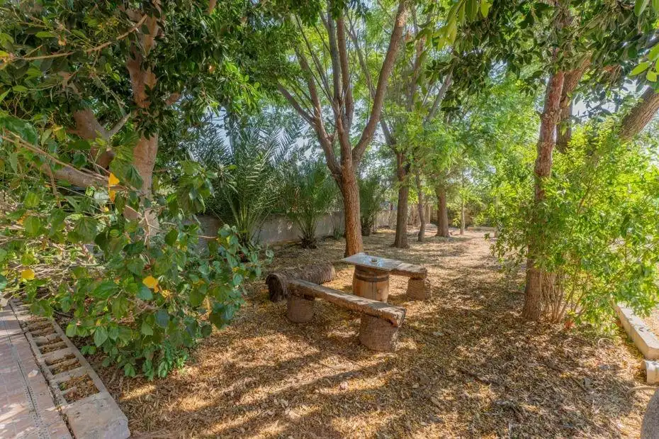 Jardín de Casa o chalet en venta en Orihuela con Piscina comunitaria