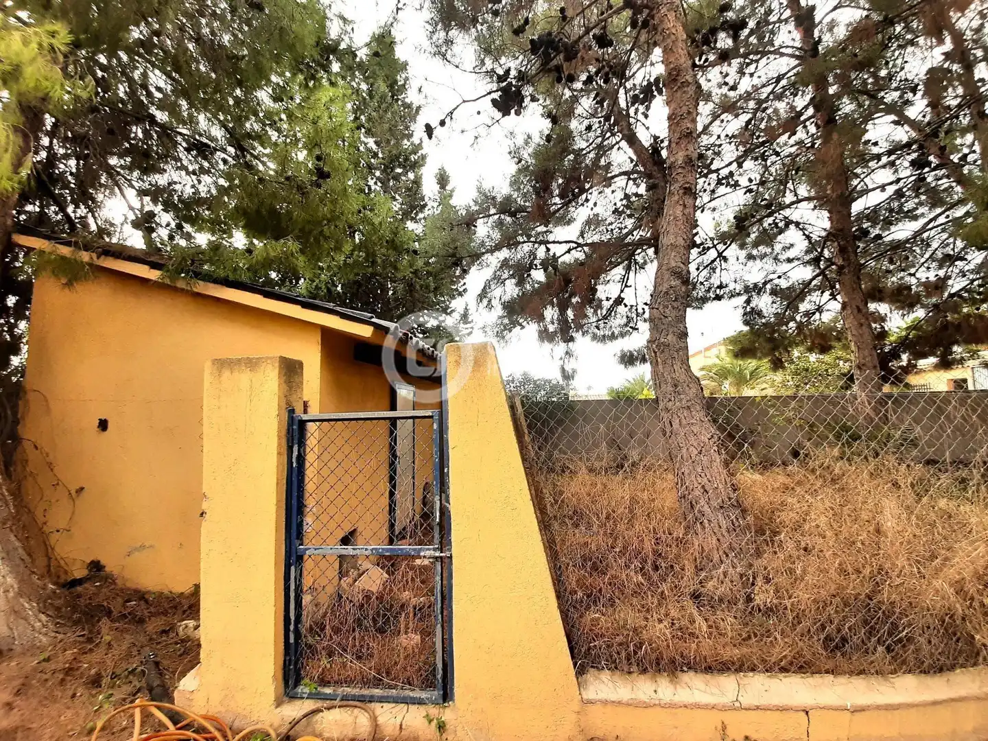 Jardín de Casa o chalet en venta en Lorca con Jardín privado, Terraza y Trastero