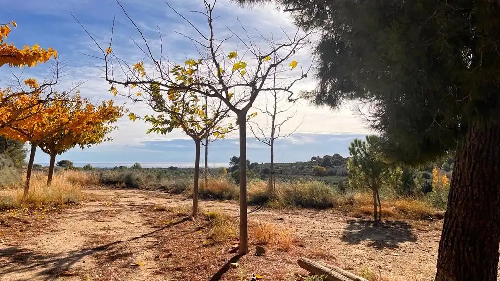 Terreny rústic en venda a Carrer del Dimecres, imagen 10