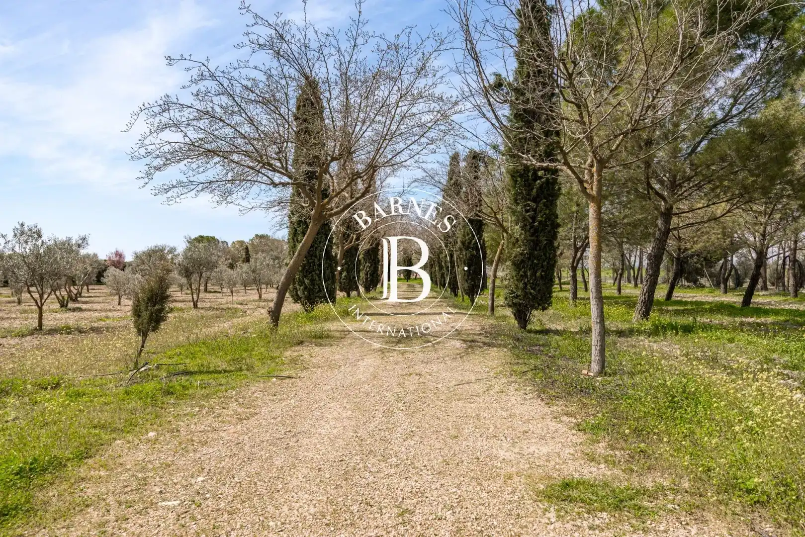 Casa o chalet en venta en Alcázar de San Juan con Jardín privado, Piscina y Amueblado