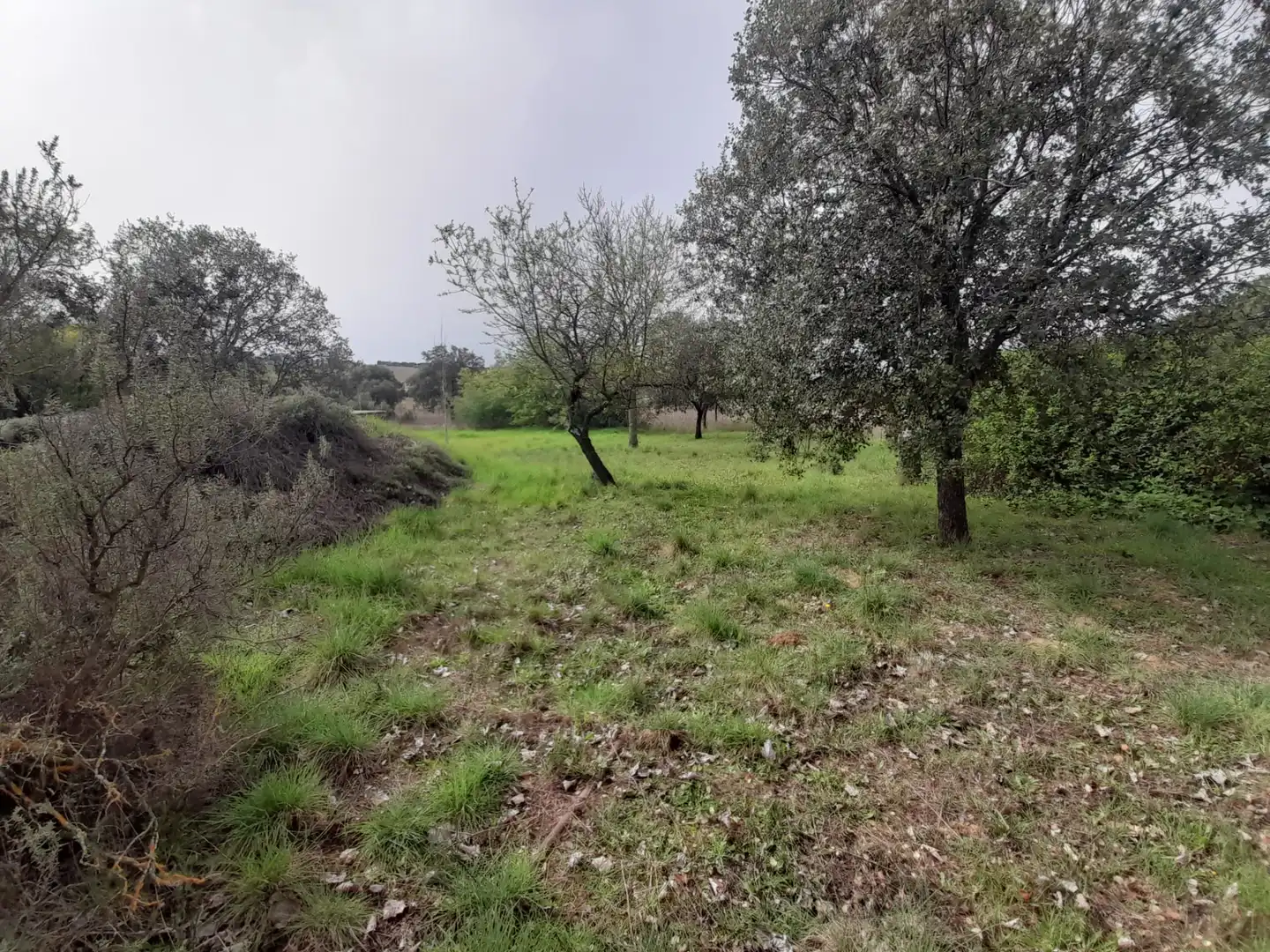 Finca rústica en venta en Brazatortas con Trastero y Piscina