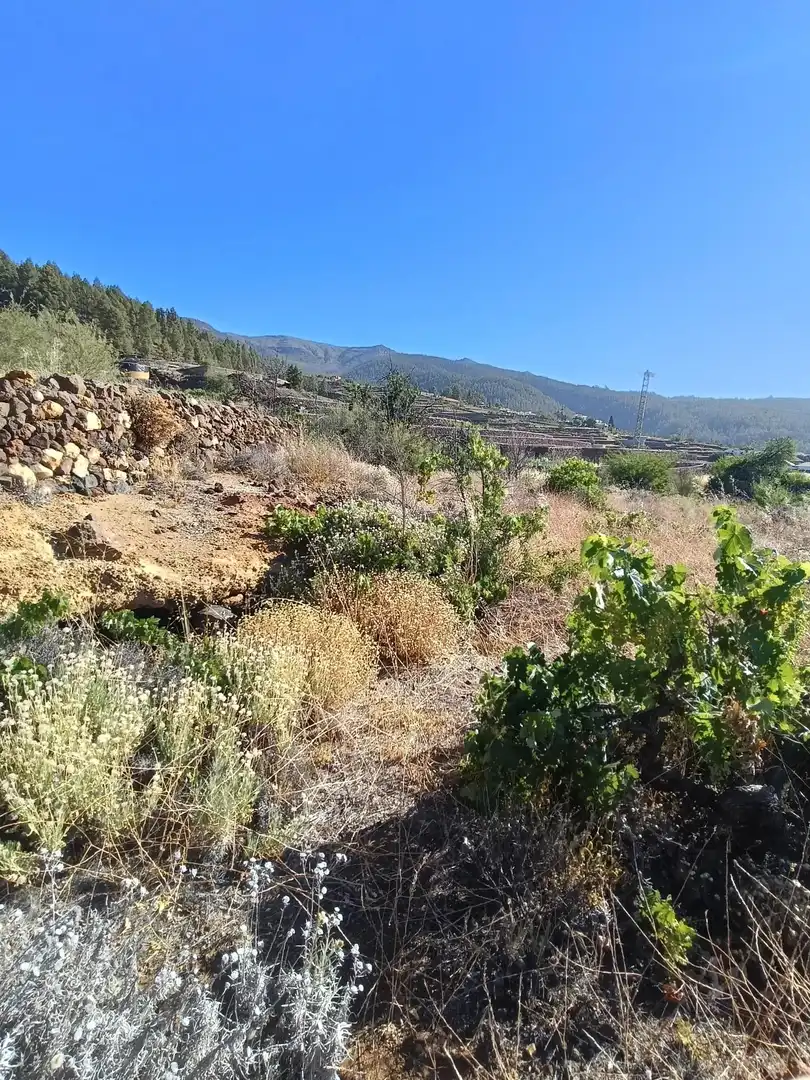 Terreno rústico en venta en M\A LIRIOS. VILAFLOR DE CHASNA [S.C. TENERIFE], imagen 14