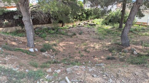 PARCELA URBANA CON PROYECTO., immagine 4