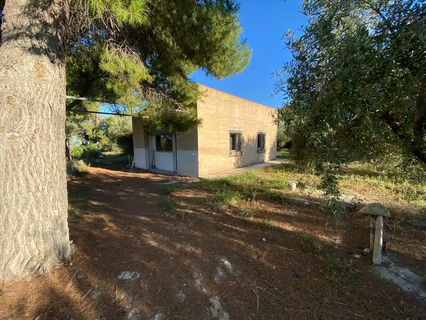 Terrain rustique à vendre à Moratalla, imagen 17