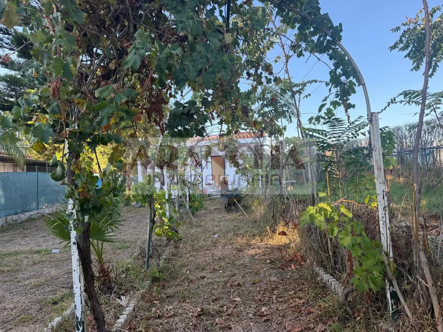 Terreno rustico in vendita a Las Tres Piedras - Costa Ballena, imagen 7