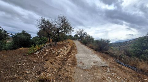 LanjarónFinca Rustica
