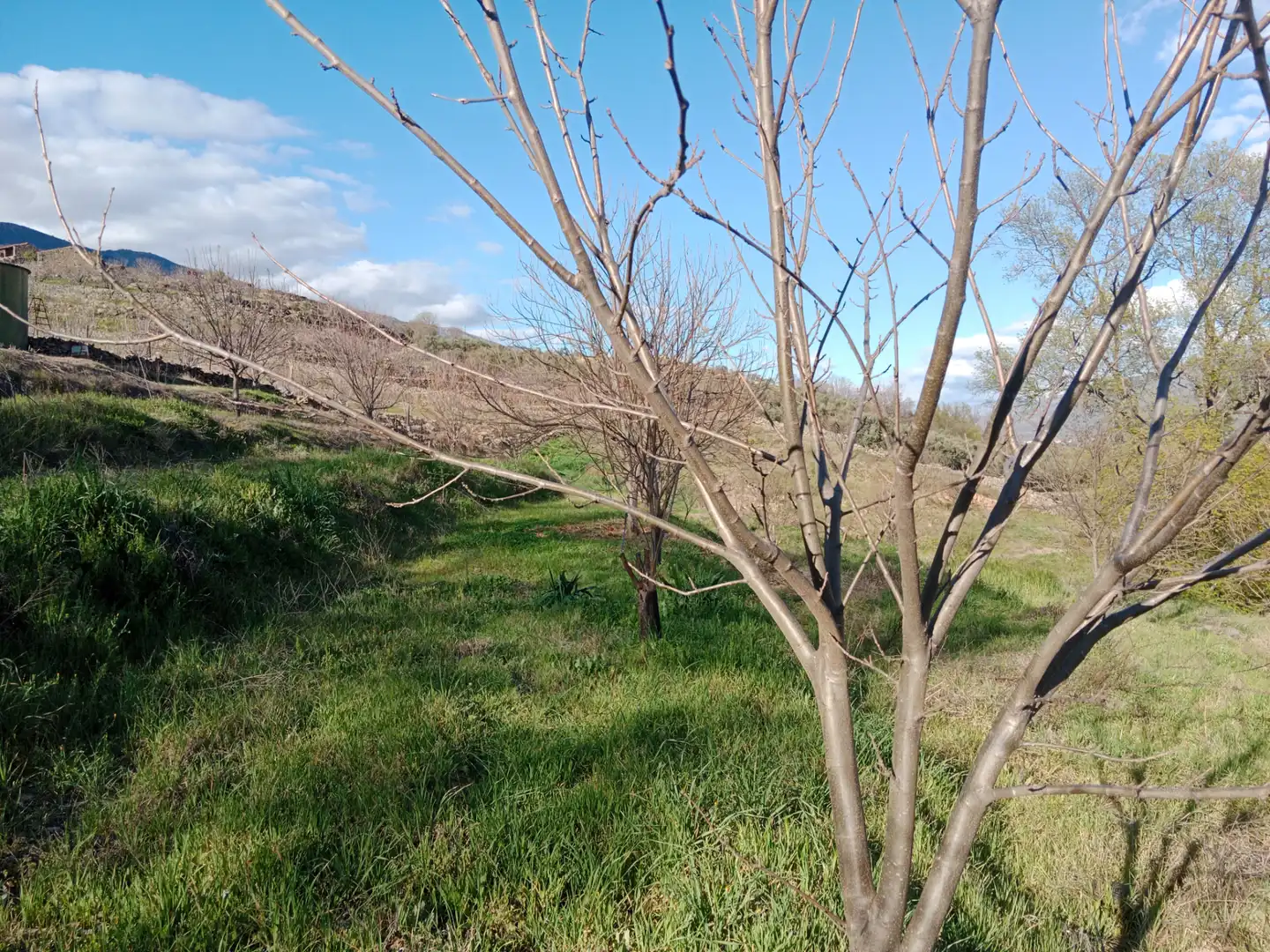 Terreno en venta en El Torno 