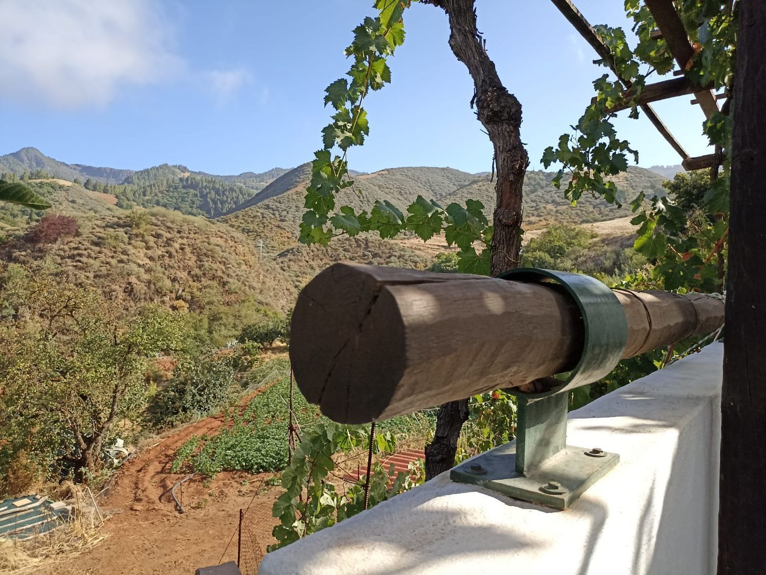 Finca rústica en venda a Calle Lomo Matazno, Vega de San Mateo