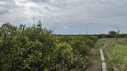 Foto 5 de Finca rústica en venda a Vinamargo, Rafalafena, Castellón de la Plana / Castelló de la Plana