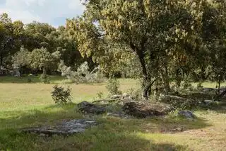 Terreny rústic en venda a Avenida de Chapinería 2, imagen 3