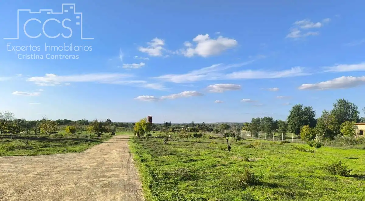 Terrain rustique à vendre à Almonte ciudad, imagen 9