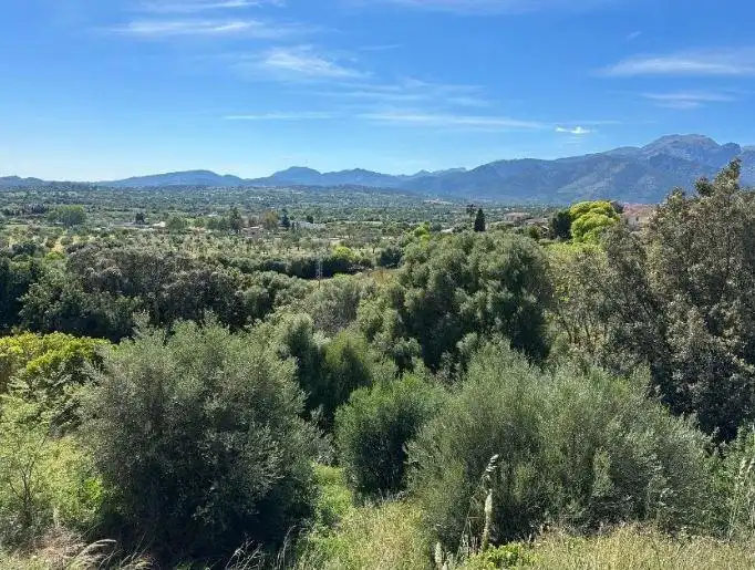 Terreny residencial en venda a Campanet, imagen 5