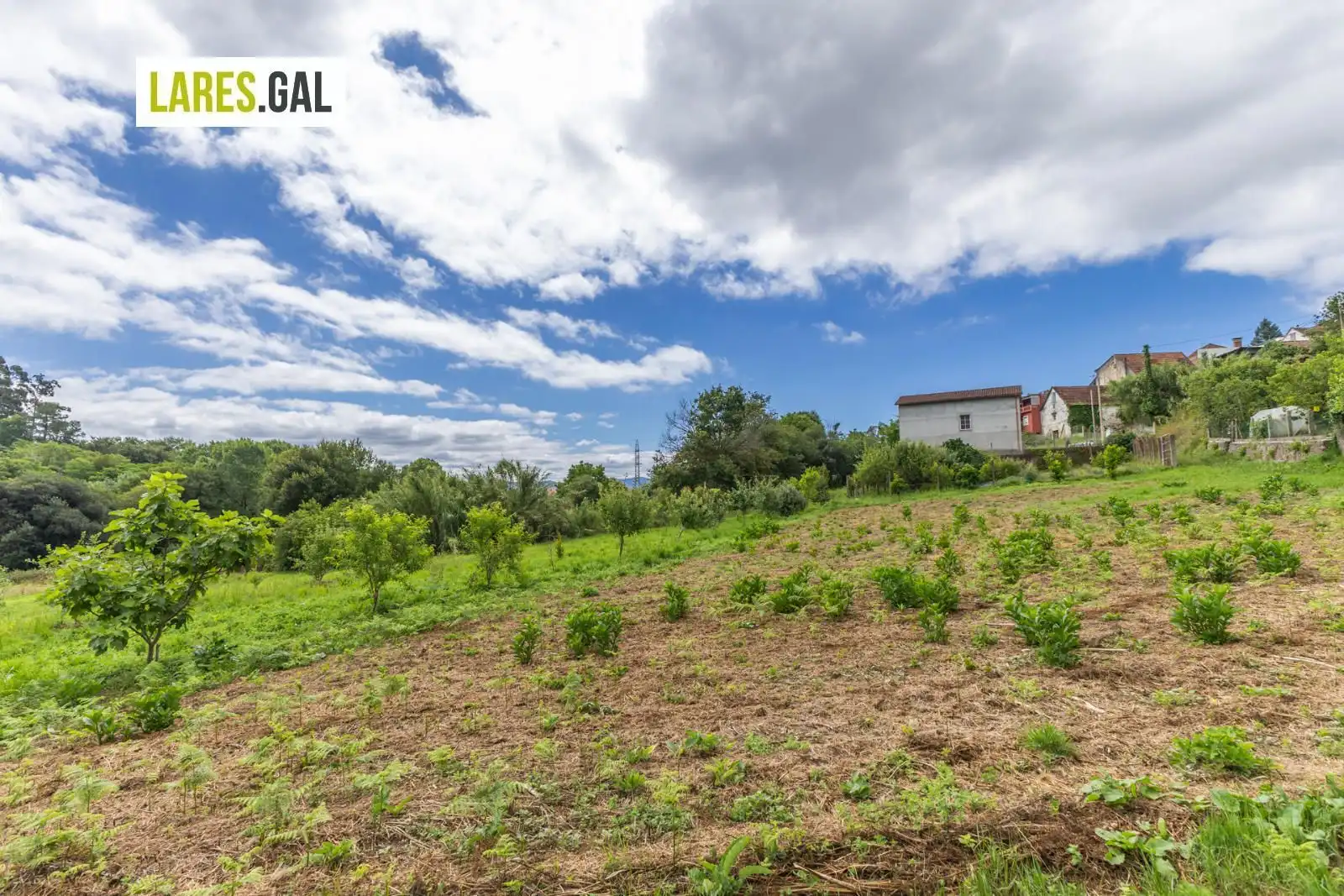 Terrain rustique à vendre à Lugar de Pozonegro, imagen 10