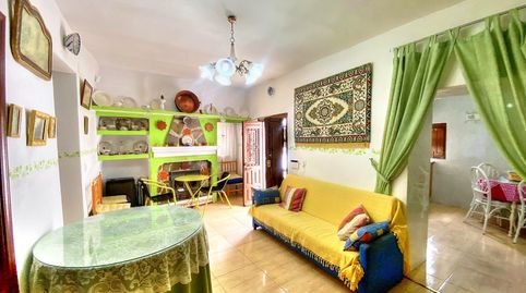 Foto 4 de Finca rústica en venta en Salares, Málaga