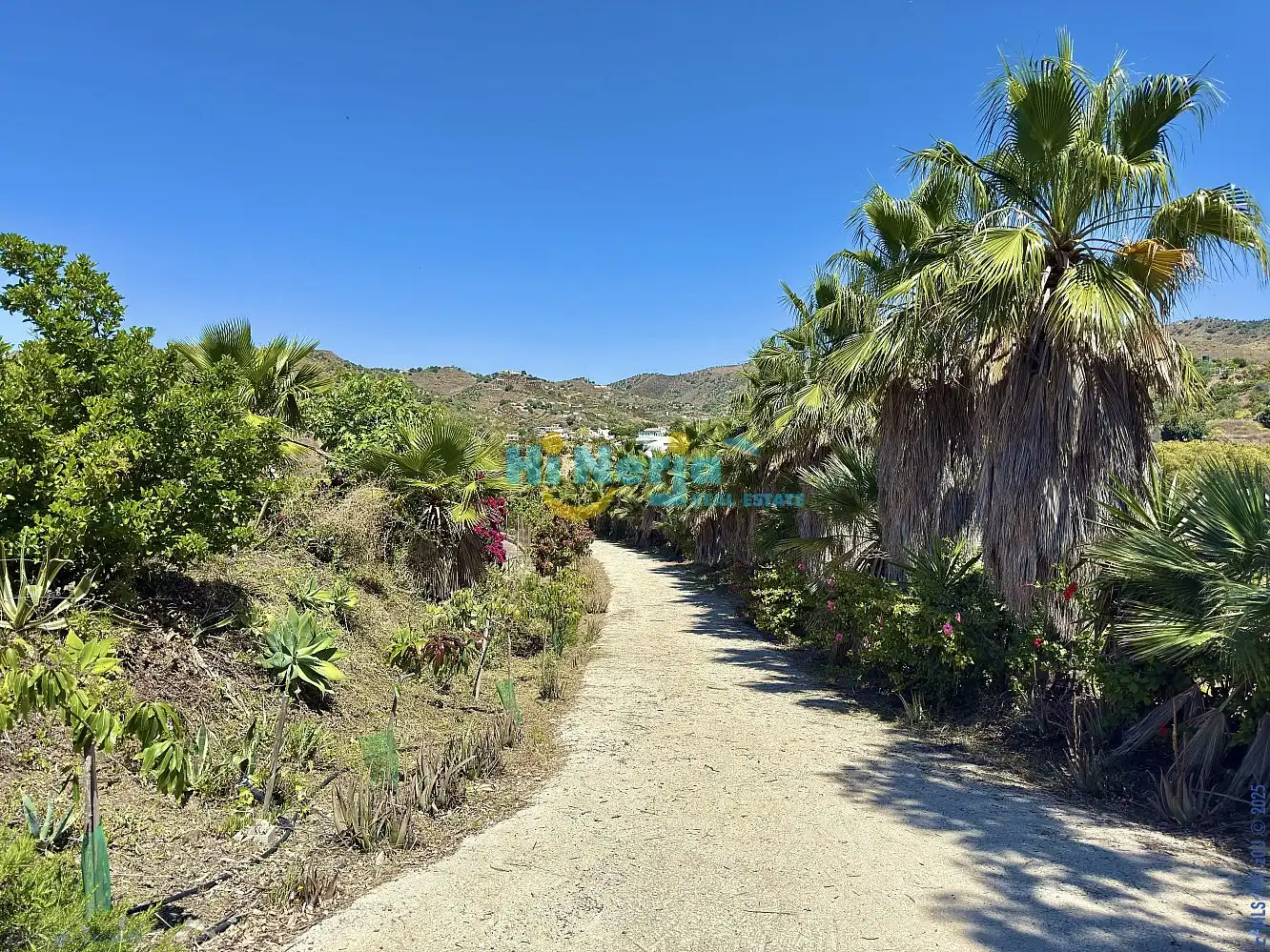 Vista exterior de Finca rústica en venta en Vélez-Málaga