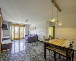 Sala d'estar de Pis en venda en Sant Hipòlit de Voltregà amb Balcó