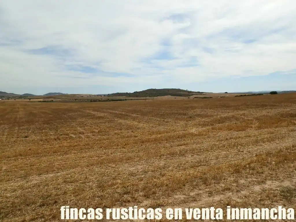 Terreni e lotti in vendita a San Pablo, imagen 4