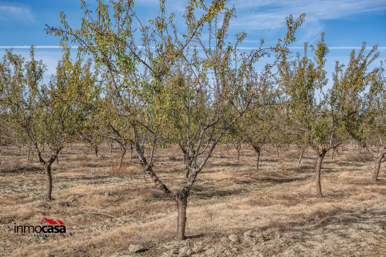 Terreno en venta en Guadix