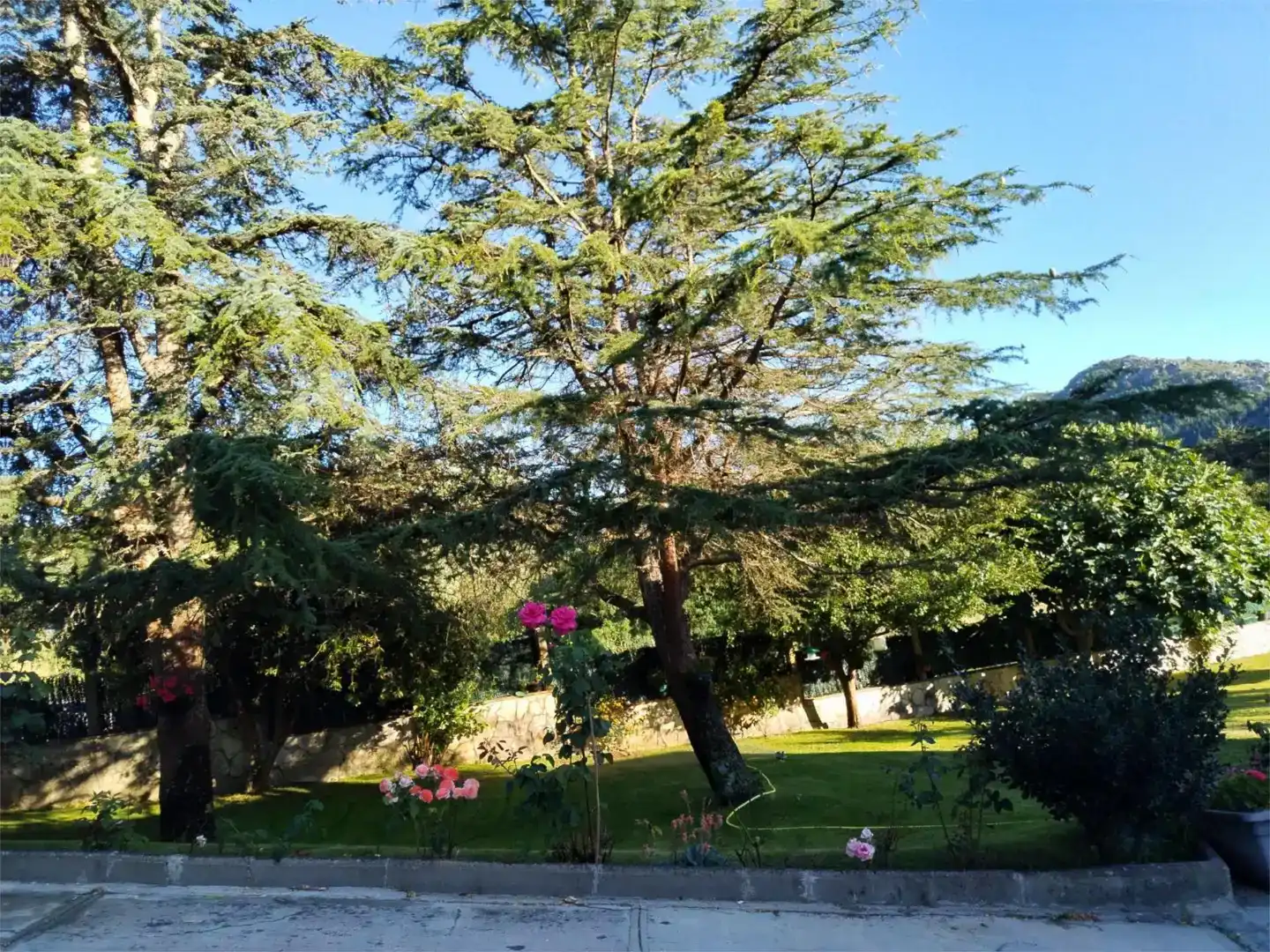 Jardín de Casa o chalet en venta en Muros, A Coruña