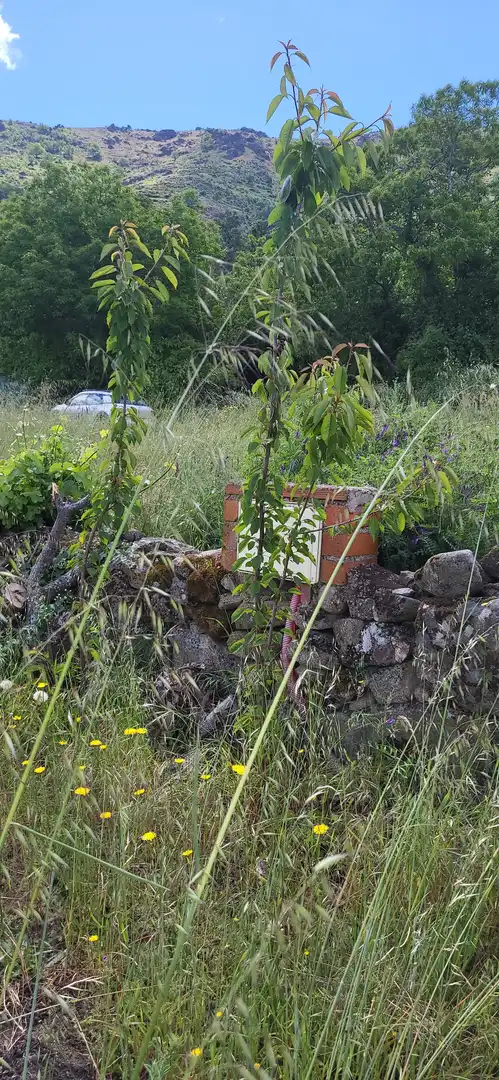 Terreno en venta en Cabezabellosa