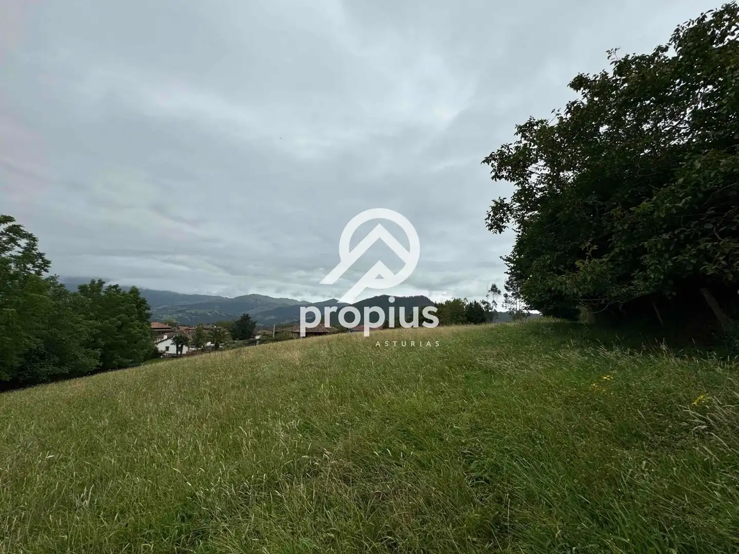 Rural land for sale in Arenas, imagen 19