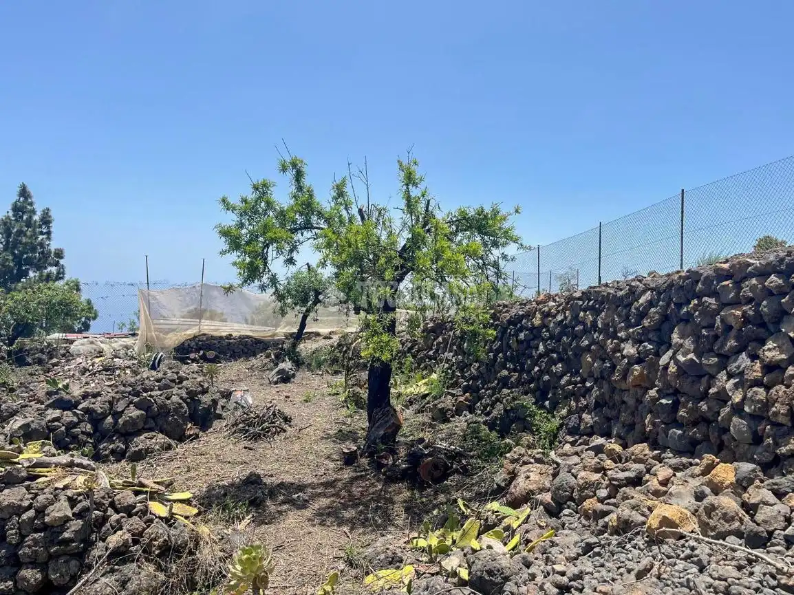 Terreno rústico en venta en Guía de Isora interior, imagen 15