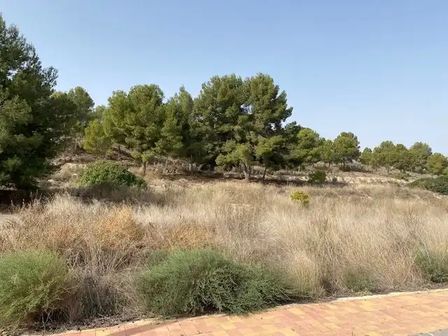 Terreny residencial en venda a TORREGUIL-, SECTOR B, PARCELA M9-2, imagen 5