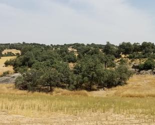 Finca rústica en venda en Menasalbas