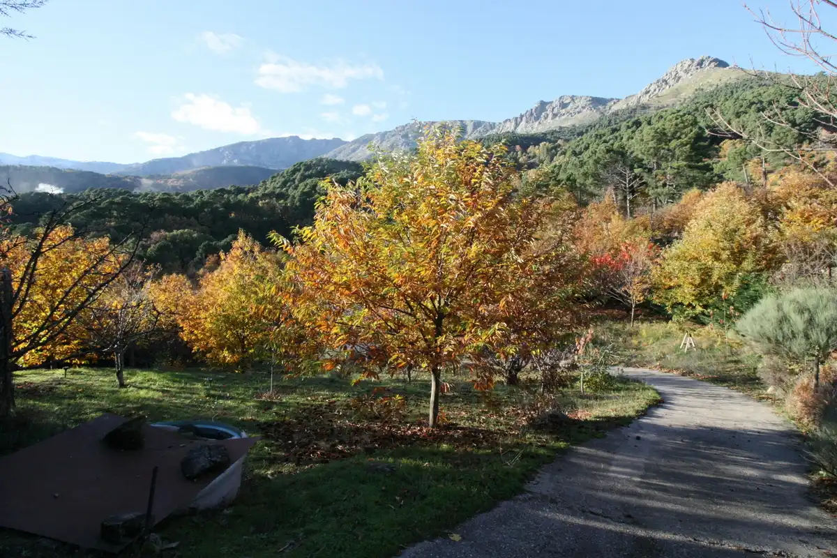 Jardí de Finca rústica en venda en El Arenal  amb Moblat