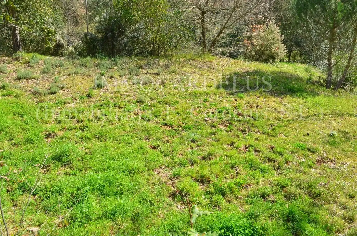 Terreny residencial en venda a Riells i Viabrea, imagen 9