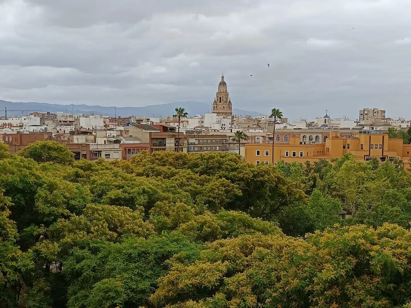 Vista exterior de Piso en venta en Murcia con Aire acondicionado, Parquet y Amueblado
