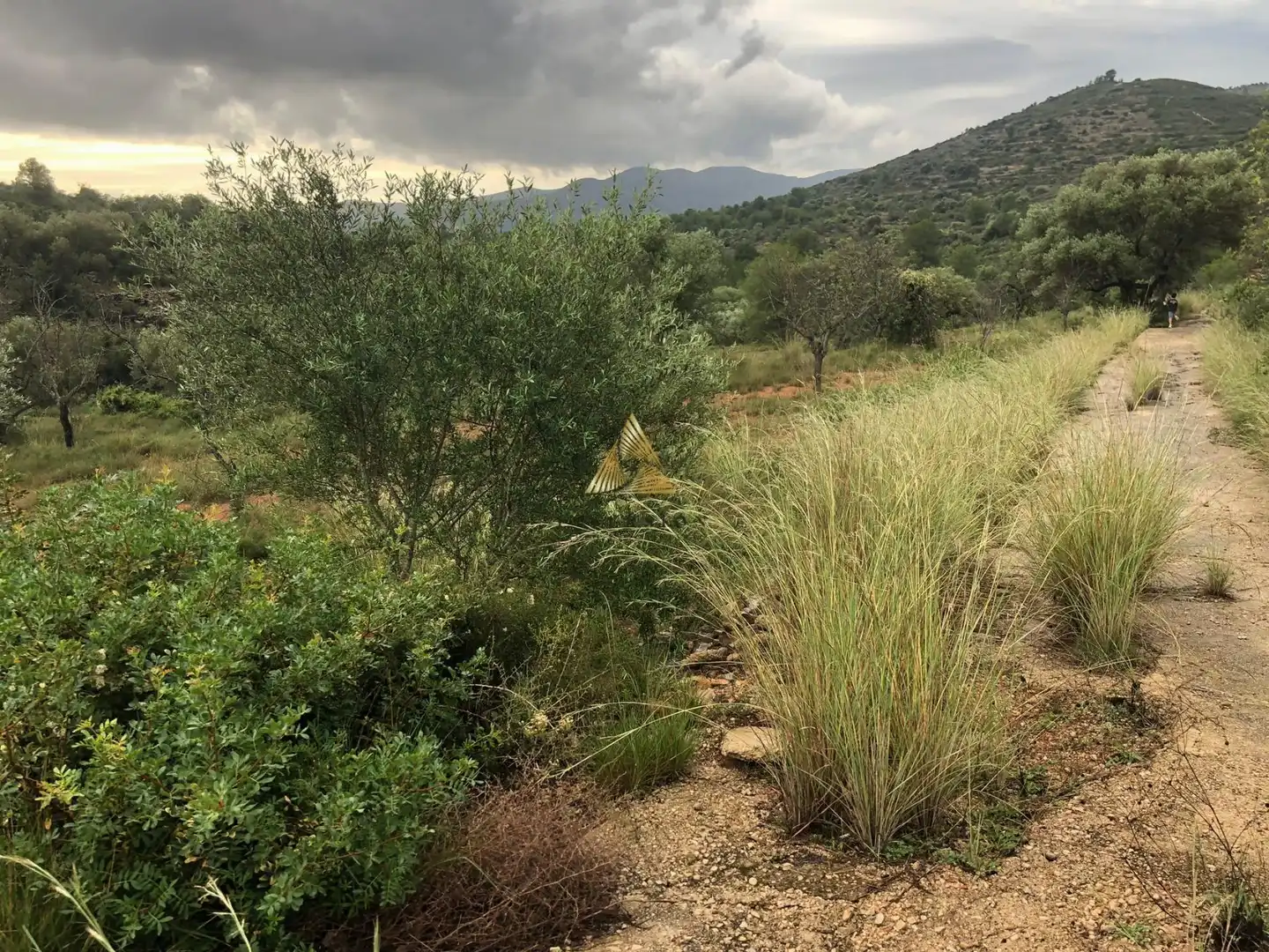Lands and plots for sale in Las Atalayas - Urmi - Cerro de Mar, imagen 12
