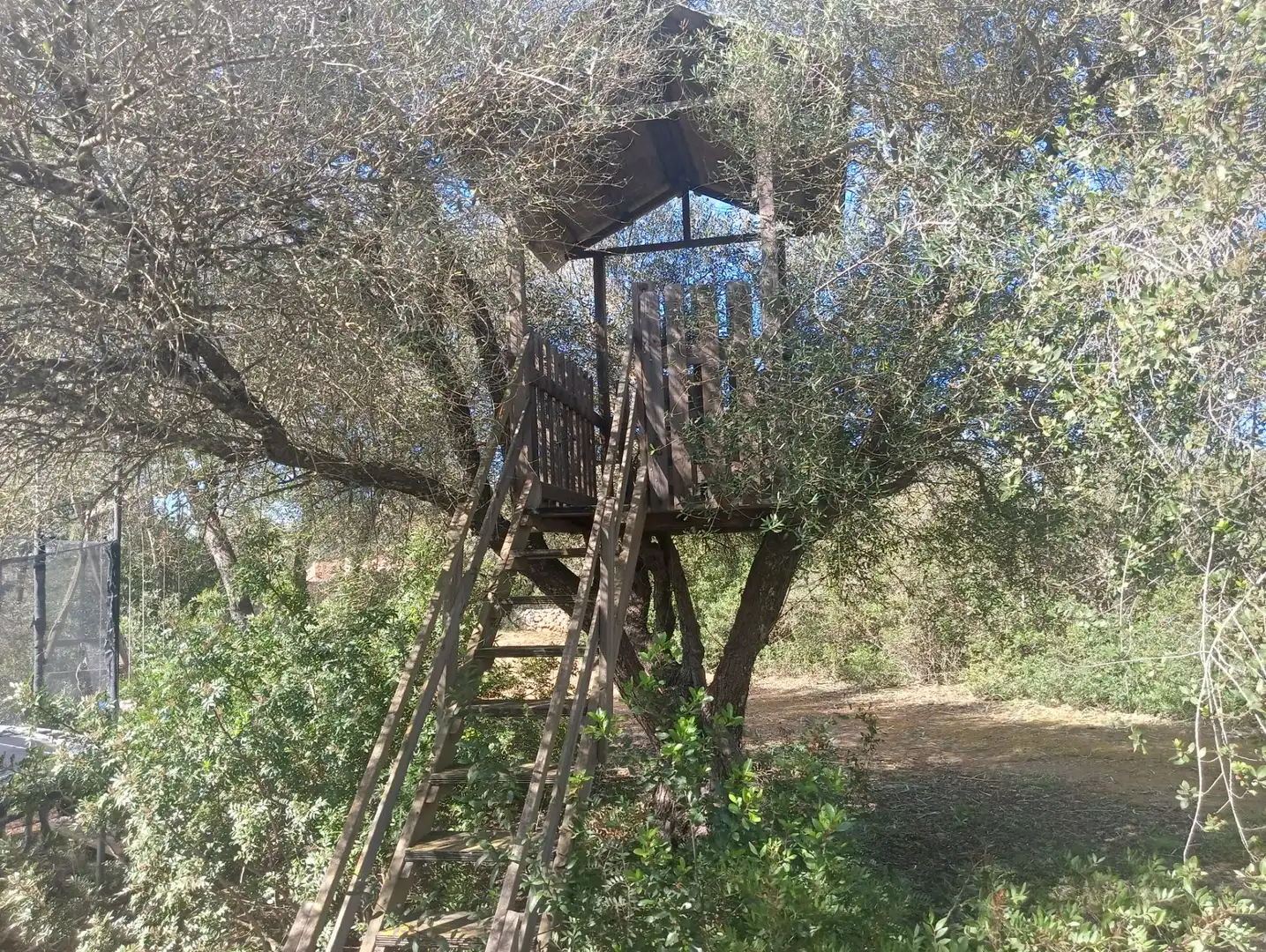 Casa en venta en Manacor Centre, imagen 8