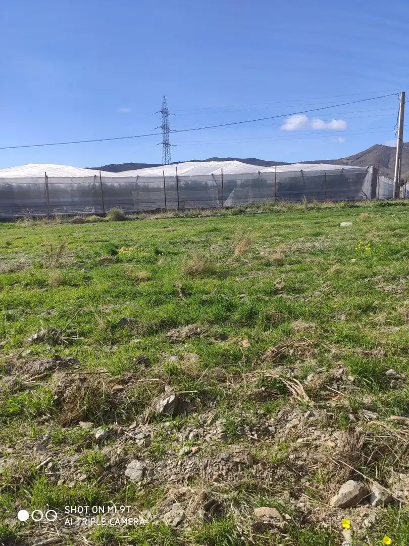 Rural land for sale in Motril  ciudad, imagen 3