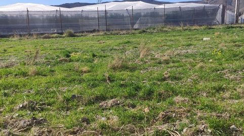 FINCA EN LAS ALGAIDAS MOTRIL, imatge 3