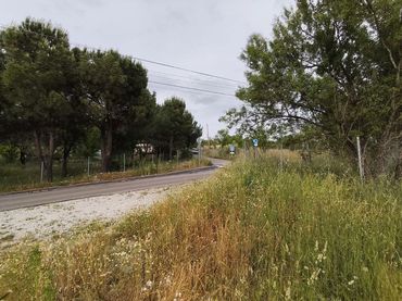 Terreno rústico en venta en Camino del Valle 90