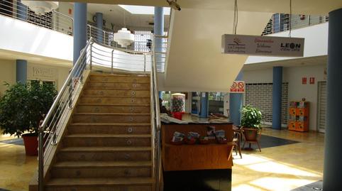 Photo 2 of Premises to rent in De Puerto Rey, Puerto Rey, Vera