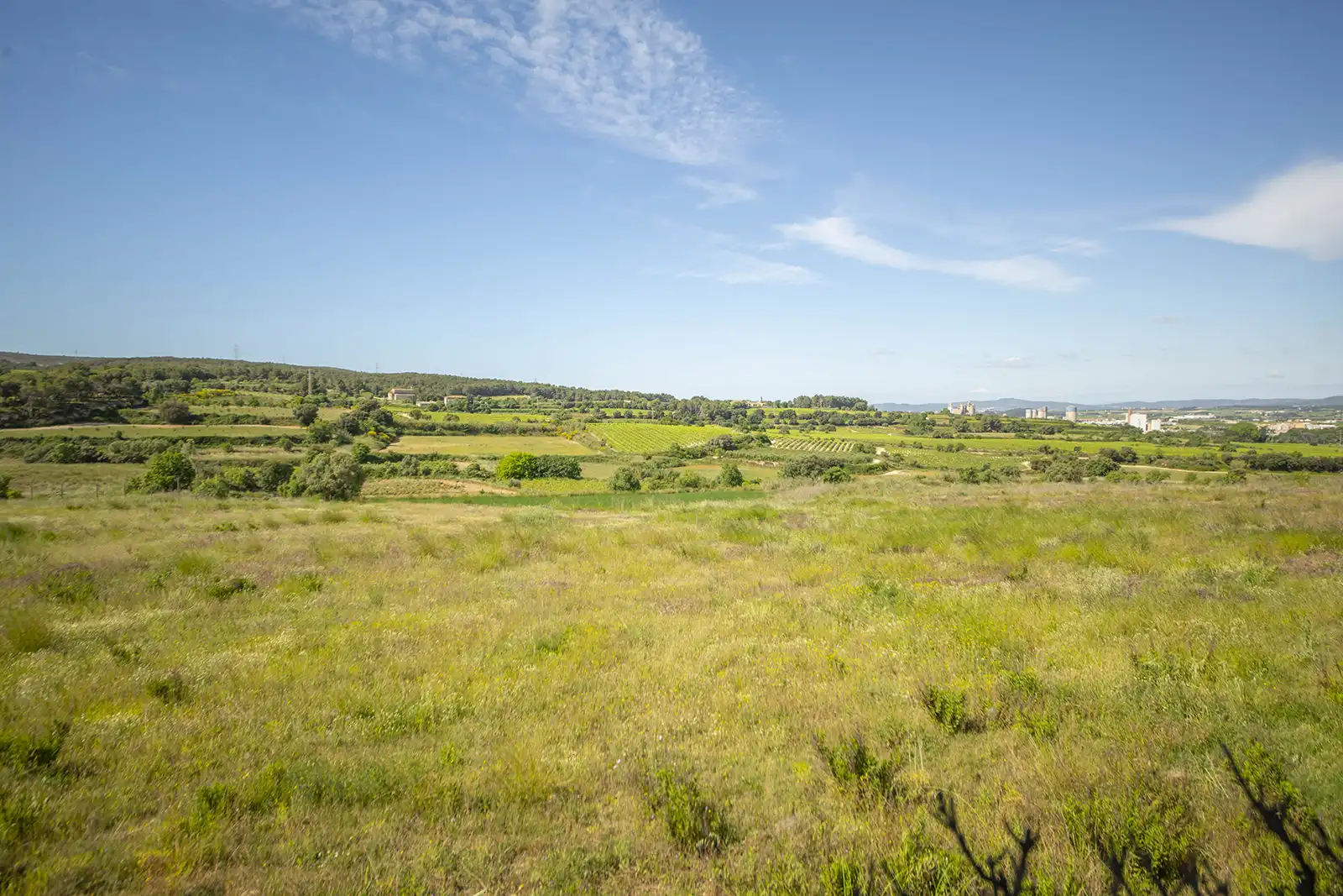 Pis en venda en Olèrdola amb Calefacció, Jardí privat i Parquet