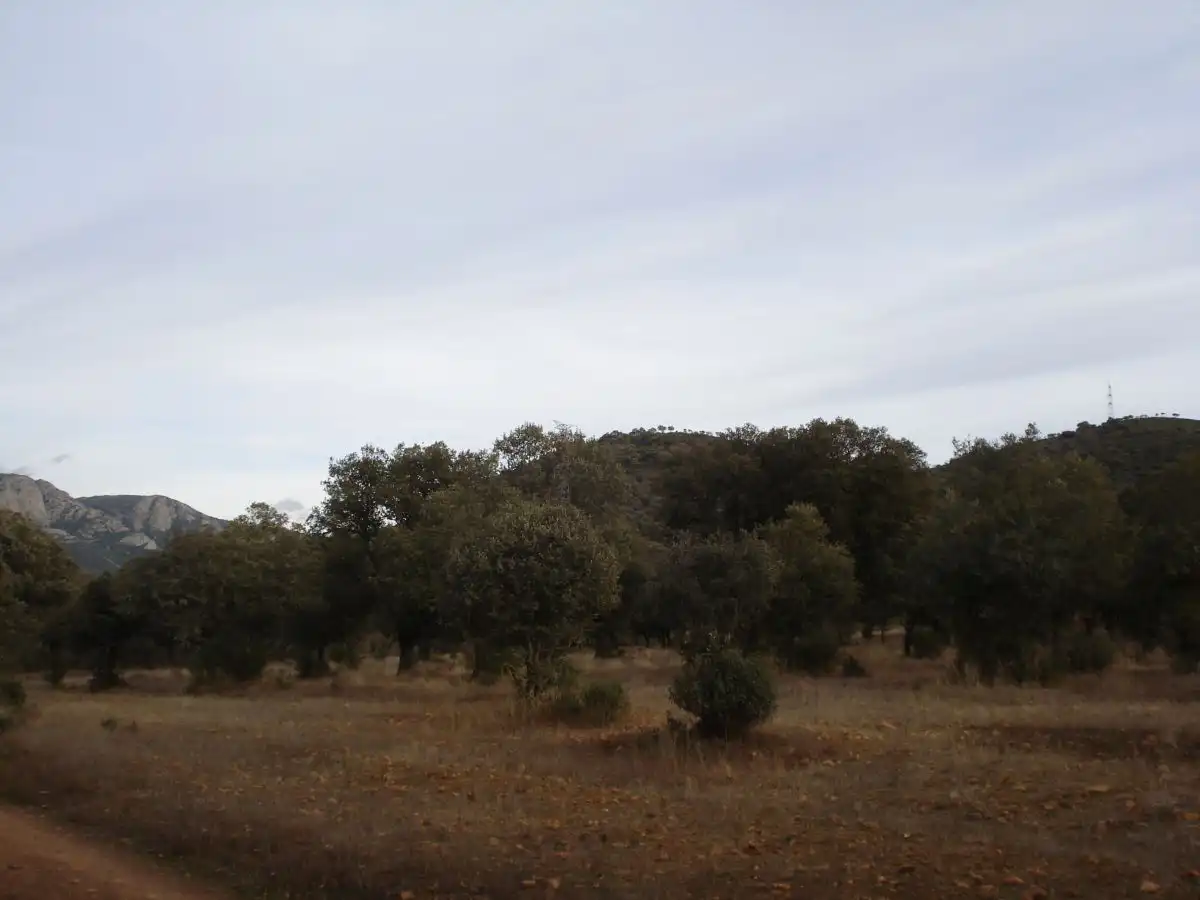 Casa rústica en venda a Área Rural-Valverde-Las Casas, imagen 8