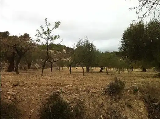 Residencial en venta en Relleu