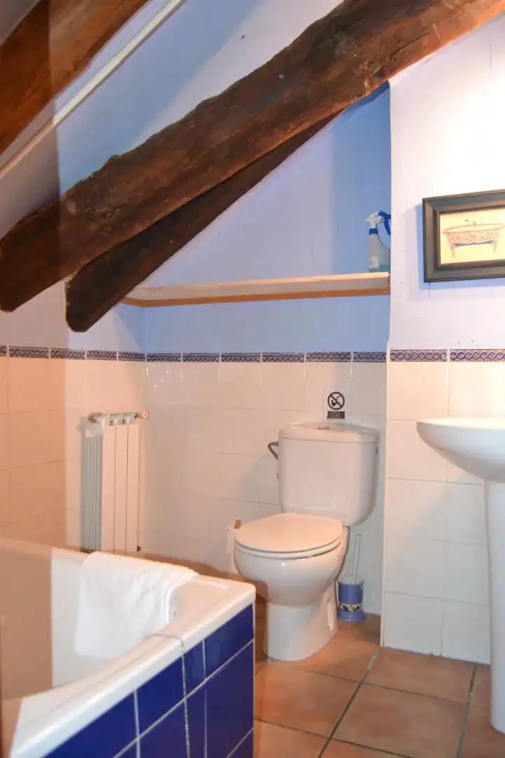 Baño de Casa o chalet en venta en Borau con Calefacción, Parquet y Trastero