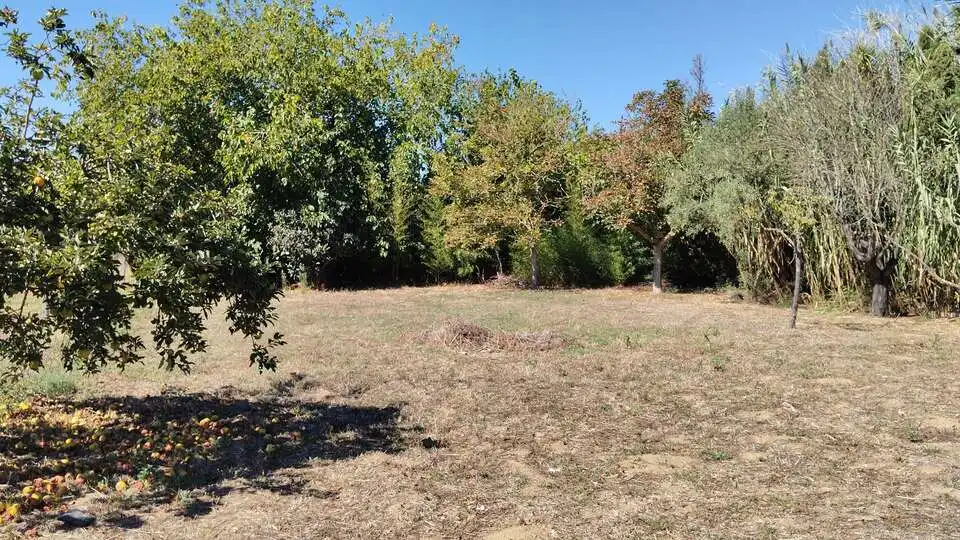 Terreny rústic en venda a Vall-llobrega, imagen 9