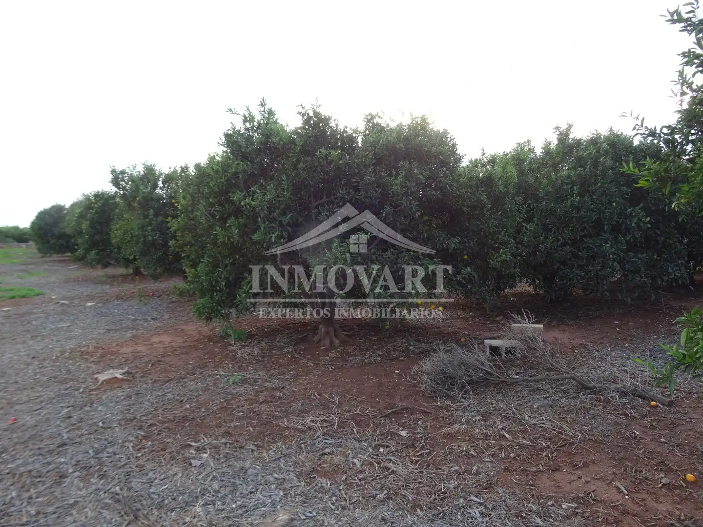 Terreno rústico en venta en Alginet, imagen 2