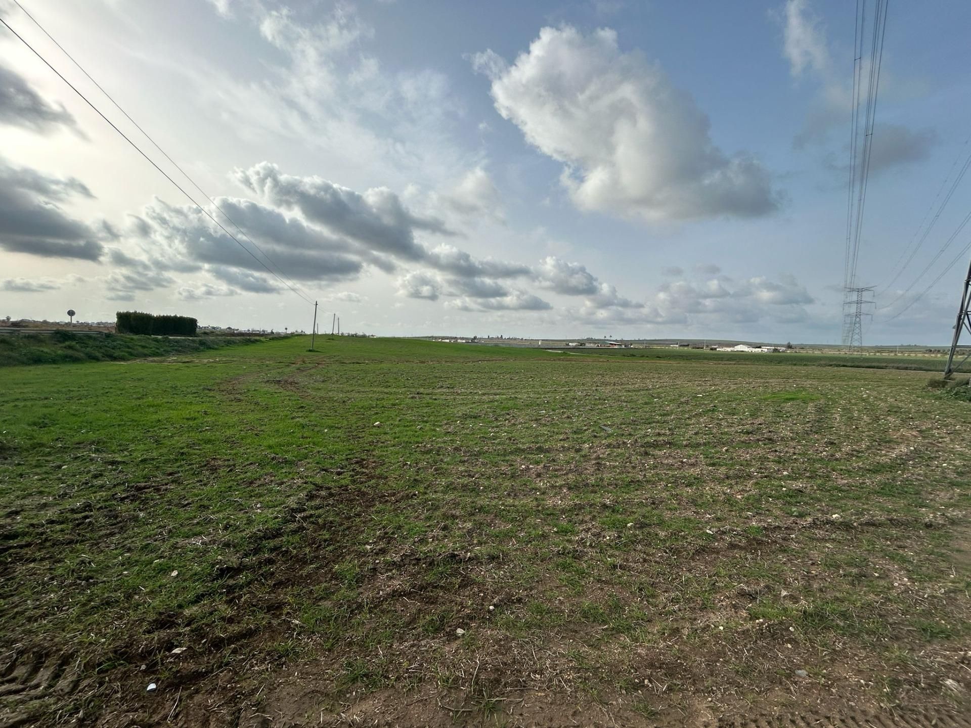 Grundstücke zum Verkauf in Utrera