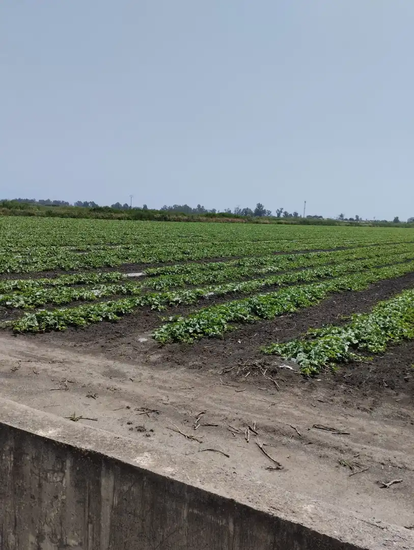 Rural land for sale in N/A, imagen 7