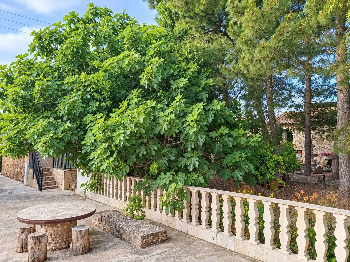 Terrassa de Finca rústica en venda en La Almarcha  amb Calefacció, Jardí privat i Piscina