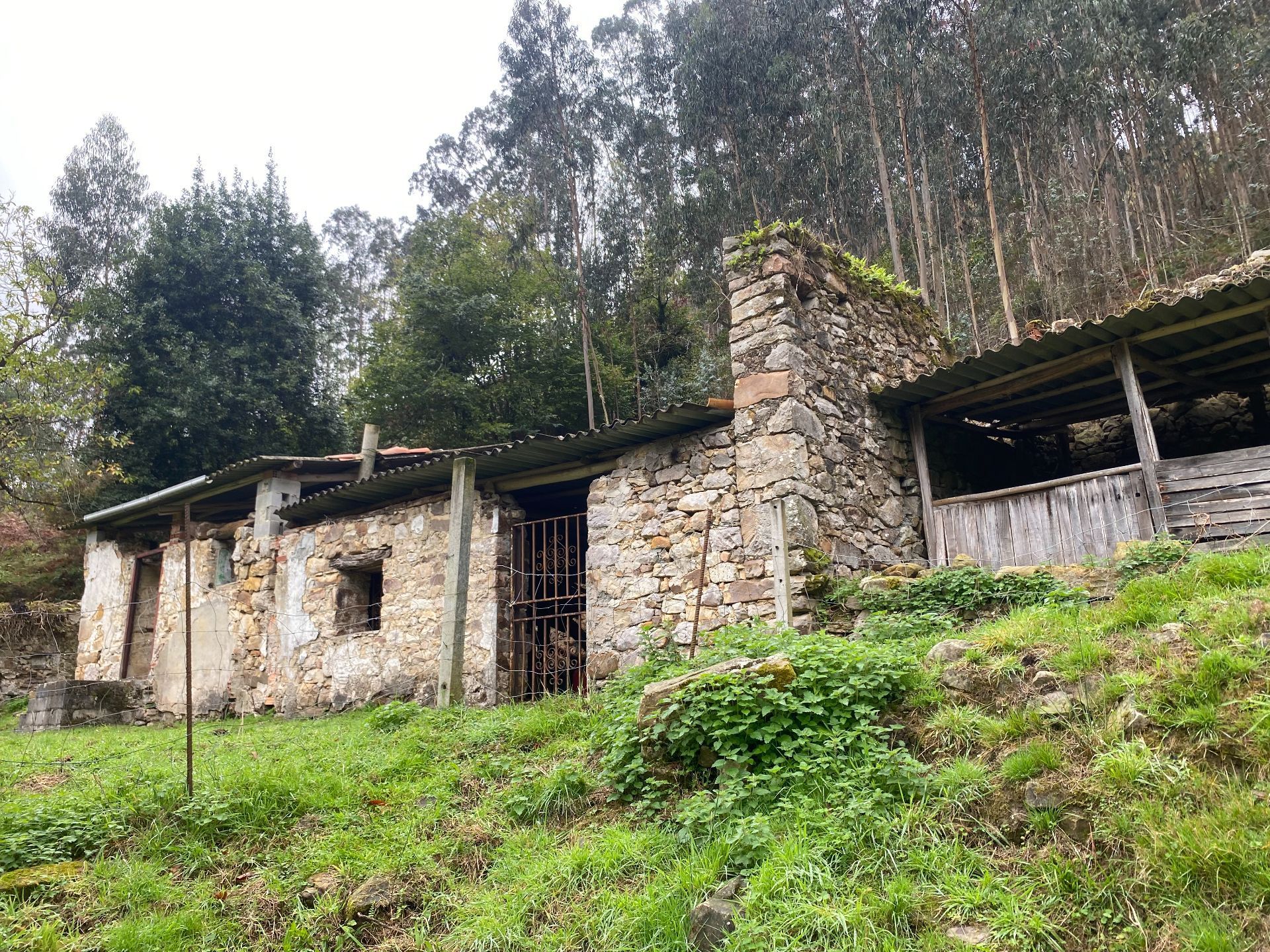 Vista exterior de Casa o xalet en venda en Ribadesella